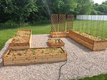 Westminster resident garden