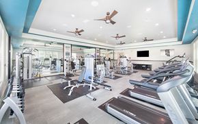 Orlando apartment for rent - a gym with treadmills and other cardio equipment and a television