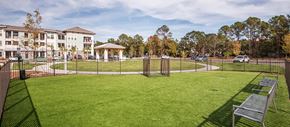 Mt. Pleasant apartment for rent - a yard with a fence around it and a building in the background