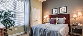 Mt. Pleasant apartment for rent - a bedroom with a bed and a window and a plant