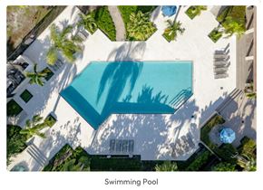 Greenacres apartment for rent - a pool with a shadow of palm trees
