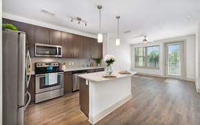 Mt. Pleasant apartment for rent - a kitchen with stainless steel appliances and a white counter top