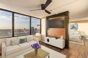 Chicago apartment for rent - Park Michigan Convertible Studio at Park Michigan Apartments, Chicago, 60605