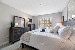 Pikesville apartment for rent - the master bedroom has a large bed and a large window