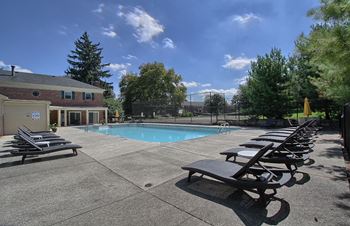 Swimming pool with lounge chairs