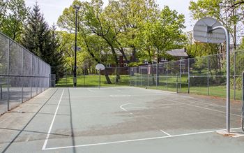 Basketball court