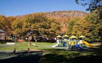 Playgrounds and tot lots