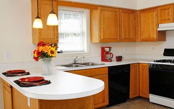 Fully-equipped kitchen
