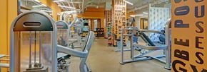Cherry Hill apartment for rent - A gym with a variety of equipment including a rowing machine.