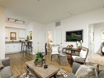 Chula Vista apartment for rent - a living room and kitchen with a television
