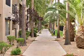 Phoenix apartment for rent - Tree lined sidewalk leading through the community