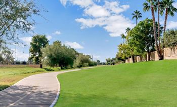 Garden with green lawn