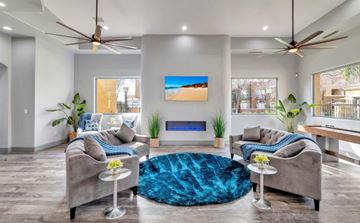Phoenix apartment for rent - a living room with couches and a fireplace