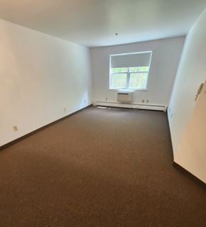 Rochester apartment for rent - A room with brown carpet and a window.