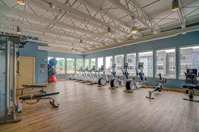 Madison apartment for rent - a gym with cardio equipment and windows and a wood floor