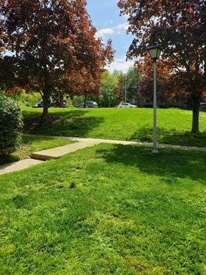Mahwah apartment for rent - A park with a lamp post and trees.