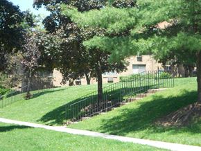 Mahwah apartment for rent - A tree-lined pathway in a park.