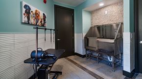 St. Petersburg apartment for rent - A kitchen area with a stainless steel oven and a black countertop.