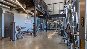 St. Petersburg apartment for rent - A gym with a variety of equipment including a squat rack, bench, and weights.
