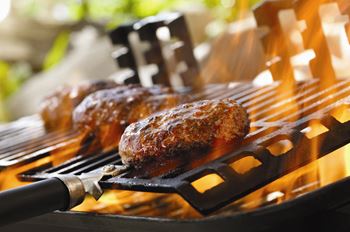 Bbq/picnic area