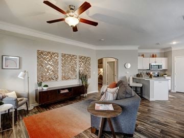 Austin apartment for rent - A living room with a grey couch and a brown rug.