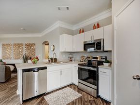 Austin apartment for rent - stainless steel appliances