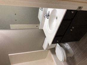 Lexington apartment for rent - a bathroom with a sink and a toilet