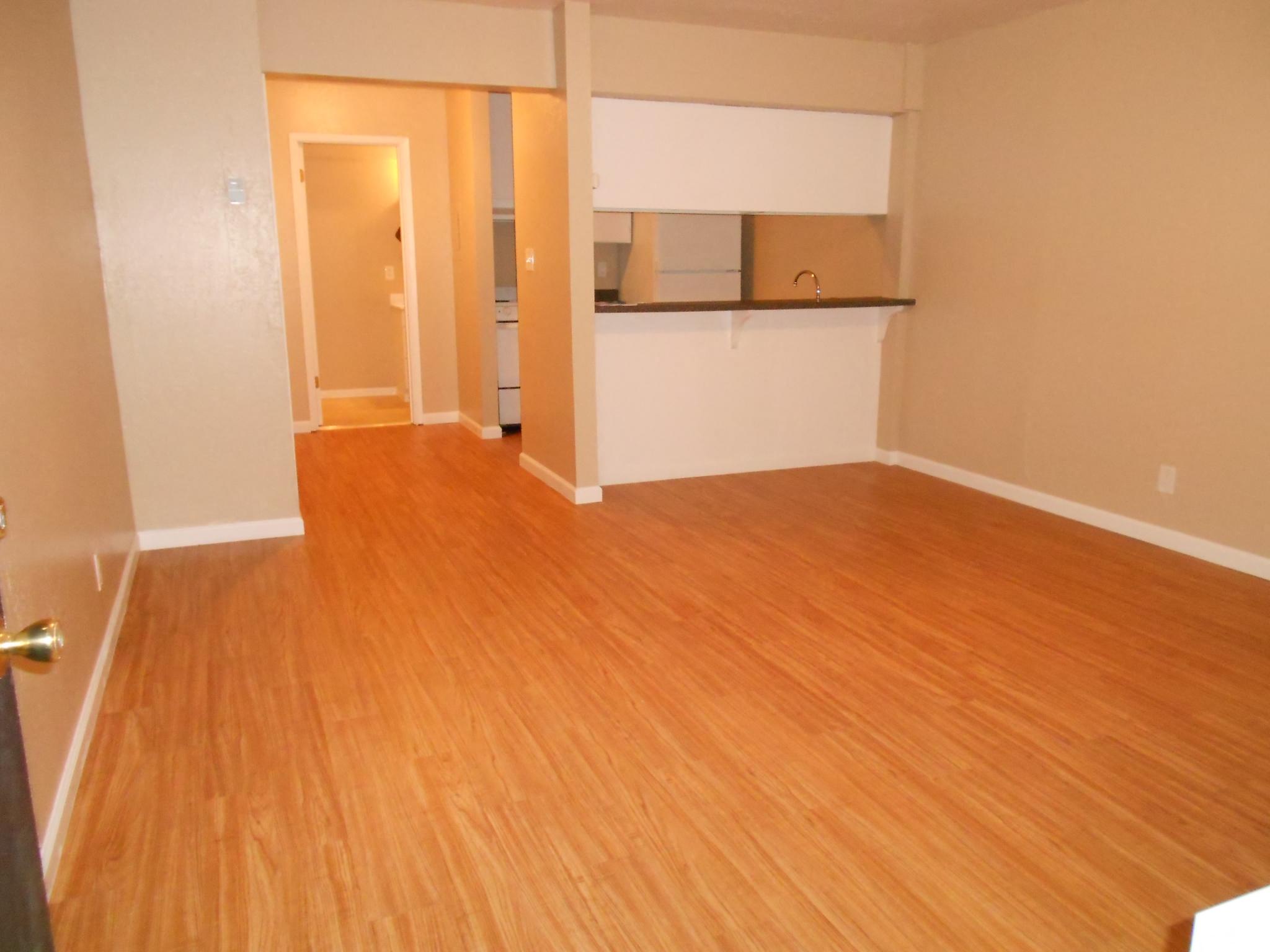 Floor plan for studio, 1 bath, 323 sqft