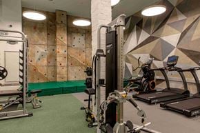 Boston apartment for rent - a home gym with weights and a climbing wall