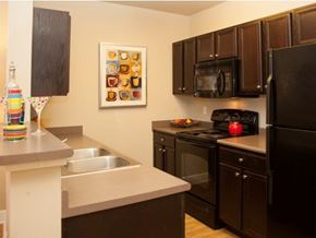 New Orleans apartment for rent - a kitchen with a black refrigerator and a sink