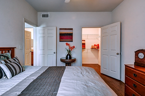 Converse apartment for rent - a bedroom with a bed and a dresser and a closet