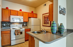Converse apartment for rent - a kitchen with stainless steel appliances and a counter top