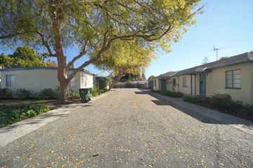 Palo Alto triplex for rent - a street with houses on either side of a tree