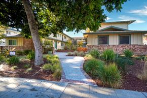 Sunnyvale apartment for rent - a sidewalk in front of a house with a tree