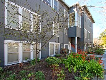 Palo Alto apartment for rent - a front yard with a tree and plants in front of a building