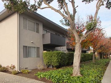 Palo Alto apartment for rent - a building with a tree in front of it