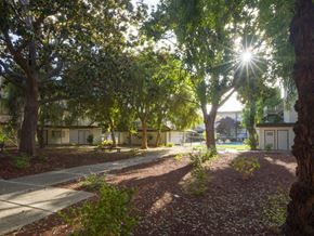 Mountain View apartment for rent - a street with trees in front of houses with the sun shining through the trees