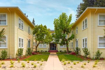 Palo Alto apartment for rent - a row of yellow houses with a lawn and trees