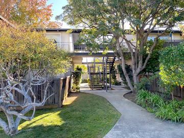 Palo Alto apartment for rent - the backyard of a house with trees and a walkway
