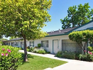 Mountain View apartment for rent - a white house with a tree in front of it