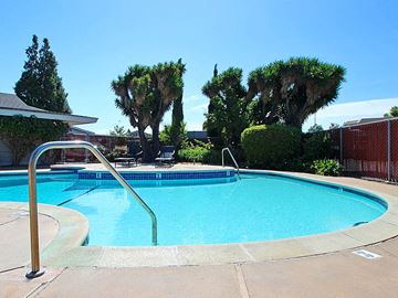 Sunnyvale apartment for rent - a large swimming pool with palm trees next to it
