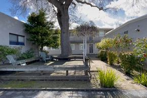 Palo Alto apartment for rent - a backyard with a deck and a tree and a house