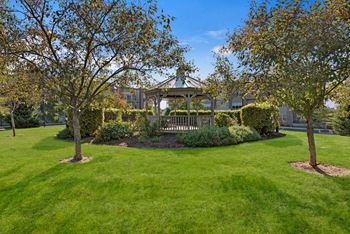 Cabana/ gazebo