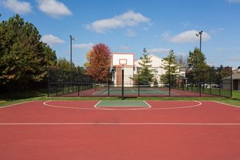 Basketball courts
