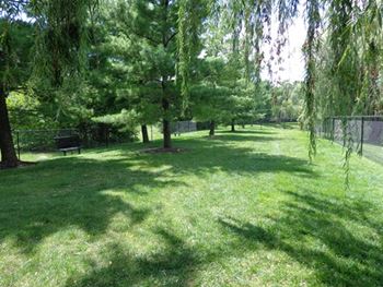 Bark park