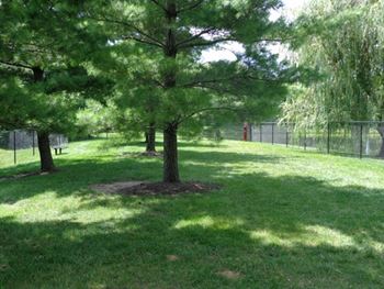 Bark park