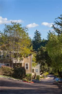 Scotts Valley apartment for rent - View from the top of the hill