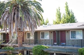 Santa Clara apartment for rent - a house with a palm tree in front of it