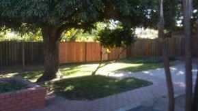 San Jose house for rent - A tree in a backyard with a wooden fence.