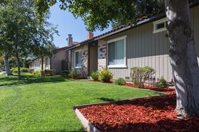 Los Gatos apartment for rent - a grassy area with a tree in the middle of it